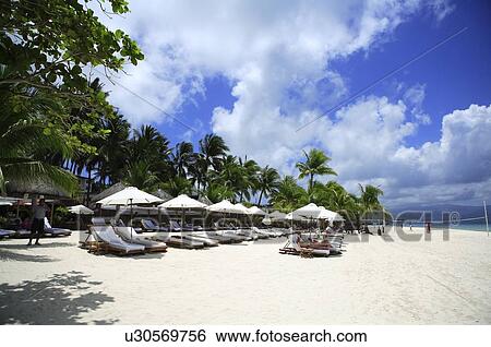 Sunshades and beach chairs on the beach View Large Photo Image Stock Photograph - Sunshades and beach chairs on the beach. Fotosearch
