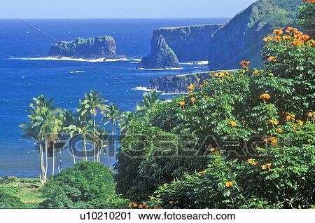 Stock Image - Coastline with Palm Trees and Flowers. Fotosearch