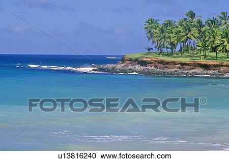 Coastline with Palm Trees View Large Photo Image Stock Image - Coastline with Palm Trees. Fotosearch