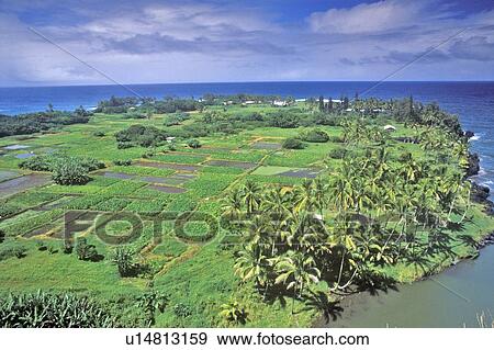 Fields by the Ocean View Large Photo Image Stock Photo - Fields by the Ocean. Fotosearch