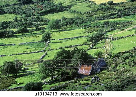Green rolling fields View Large Photo Image Stock Image - Green rolling fields. Fotosearch