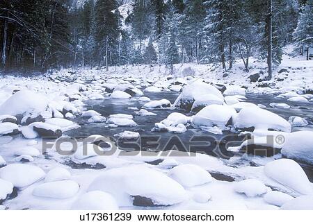 Merced River in Winter View Large Photo Image Stock Photo - Merced River in Winter. Fotosearch