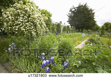 The Gardens at Giverny, France View Large Photo Image Stock Image - The Gardens at Giverny, France. Fotosearch