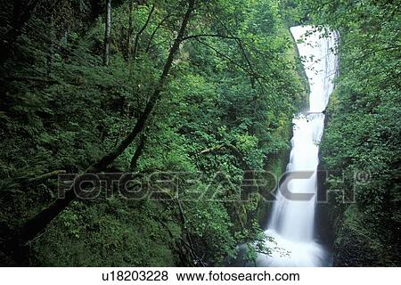 Waterfall View Large Photo Image Stock Photo - Waterfall. Fotosearch