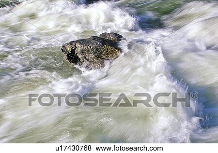 White Water in the river View Large Photo Image Stock Photo - White Water in the river. Fotosearch
