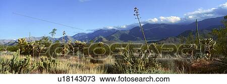 Desert View Large Photo Image Stock Image - Desert. Fotosearch