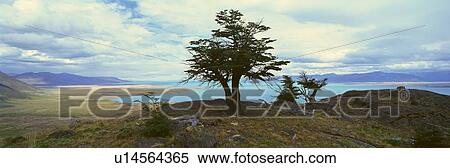Stock Photography - Panoramic view of Argentina's largest lake, Argentina. Fotosearch