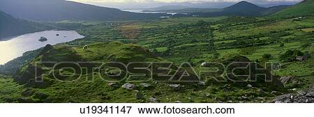 Stock Photo - Panoramic view of goats grazing. Fotosearch