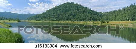Pyramid of Pines View Large Photo Image Picture - Pyramid of Pines. Fotosearch