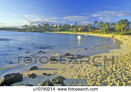 Picture - Beach at Resort Hotel. Fotosearch