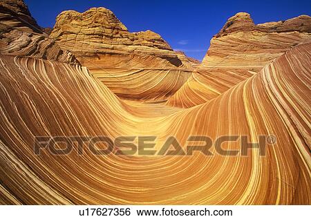 Close up of sandstone stripes, 'The Wave' on Kenab Coyote Butte View Large Photo Image Stock Photograph - Close up of sandstone stripes, 'The Wave' on Kenab Coyote Butte. Fotosearch