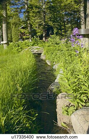 Stock Image - Creek runs through spring foliage, Centennial Valley. Fotosearch