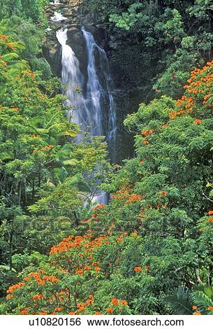 Stock Photograph - Nanee Falls. Fotosearch