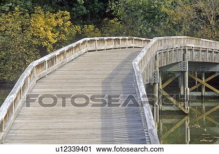 Walking bridge on Roosevelt Island View Large Photo Image Stock Image - Walking bridge on Roosevelt Island. Fotosearch