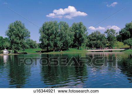 Stock Image - calm, clouds, coniferous, daylight. Fotosearch