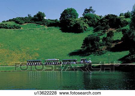 Stock Photo - greenery, scenery, natural, green, plantation, lake, plants. Fotosearch