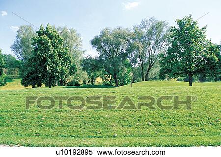 plants, calm, environment, green, grow, plantation View Large Photo Image Stock Photography - plants, calm, environment, green, grow, plantation. Fotosearch