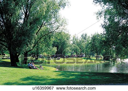 sky, lake, flora, water, field, ripple View Large Photo Image Stock Photo - sky, lake, flora, water, field, ripple. Fotosearch