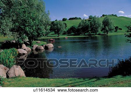 Picture - stone, ripple, coniferous, clouds, scenic, nature, plantation. Fotosearch