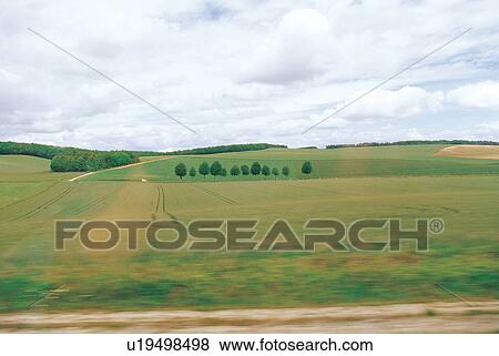 Stock Photo - countryside, flora, vacant, vast, horizon. Fotosearch
