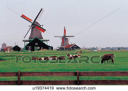 grass, rural, mill, constructed, field, barrier, outdoor View Large Photo Image Stock Photo - grass, rural, mill, constructed, field, barrier, outdoor. Fotosearch
