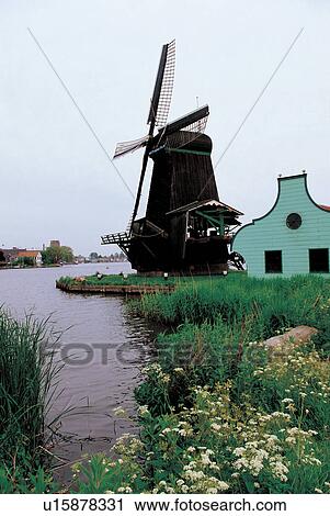 mill, sky, flowers, countryside, grassy, wind, scenery View Large Photo Image Stock Image - mill, sky, flowers, countryside, grassy, wind, scenery. Fotosearch