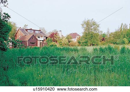 outdoor, field, natural, grass View Large Photo Image Stock Image - outdoor, field, natural, grass. Fotosearch