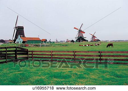 outdoor, grass, grassy, horizon View Large Photo Image Stock Photo - outdoor, grass, grassy, horizon. Fotosearch