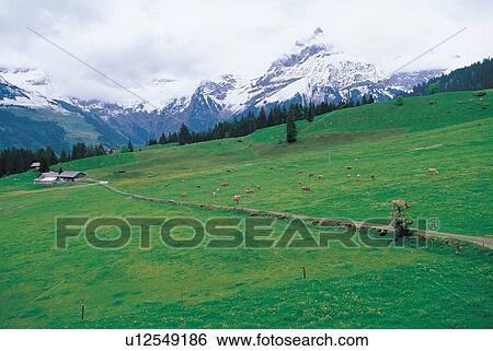 cabin, climate, clouds, cloudy View Large Photo Image Stock Photograph - cabin, climate, clouds, cloudy. Fotosearch
