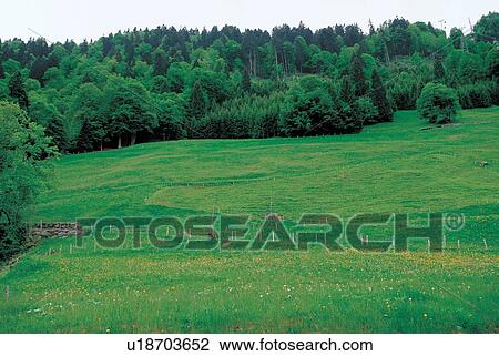 Stock Image - climate, clouds, cloudy, country. Fotosearch