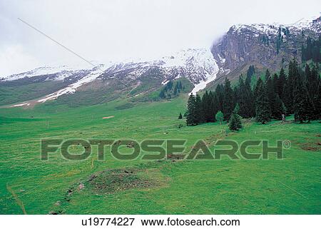 Stock Photo - climate, clouds, cloudy, country. Fotosearch