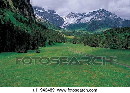 greenery, green, field, view, growing, climate, landscape View Large Photo Image Stock Photo - greenery, green, field, view, growing, climate, landscape. Fotosearch