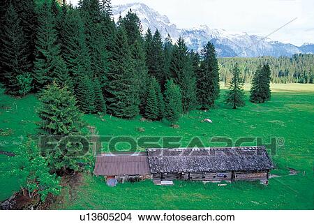 growing, fields, cabin, structure, growth, home View Large Photo Image Picture - growing, fields, cabin, structure, growth, home. Fotosearch