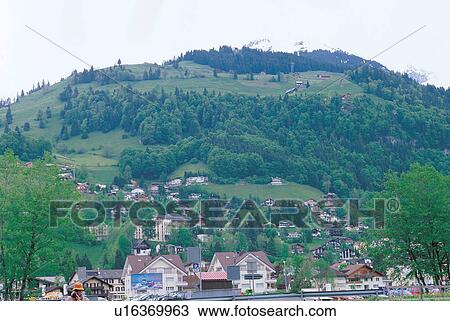 growth, cloudy, evergreen, landscape, life, grow, natural View Large Photo Image Stock Image - growth, cloudy, evergreen, landscape, life, grow, natural. Fotosearch