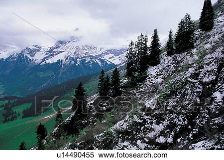 Stock Photography - hills, valley, growth, condition, evergreen, cloudy. Fotosearch