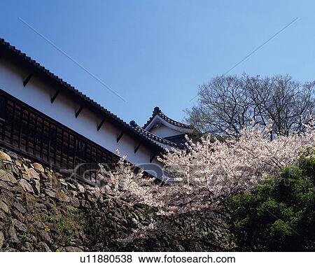 Fukuoka Castle View Large Photo Image Stock Photo - Fukuoka Castle. Fotosearch