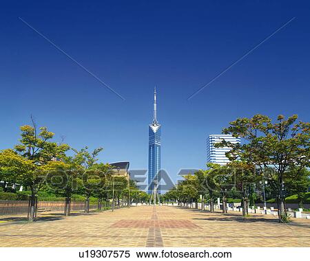 Fukuoka Tower View Large Photo Image Stock Photography - Fukuoka Tower. Fotosearch