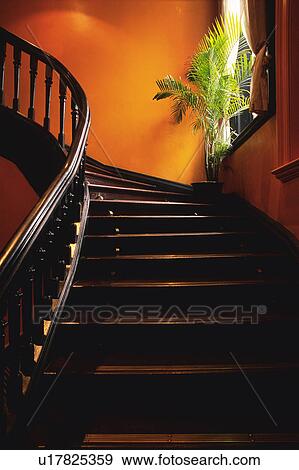a Wooden Step, Surrounded By an Orange-colored Wall and a Plant in the Corner, Low Angle View, Front View, Shanghai, China View Large Photo Image Stock Photo - a Wooden Step, Surrounded By an Orange-colored Wall and a Plant in the Corner, Low Angle View, Front View, Shanghai, China. Fotosearch