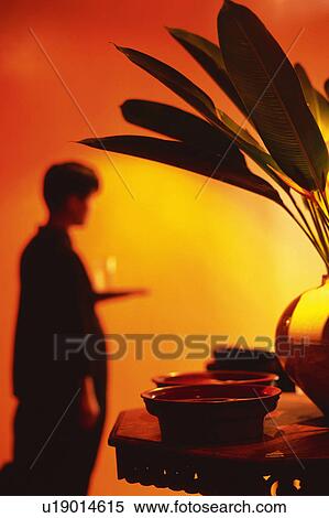 Several Little Pots and a Vase With a Plant, a Waiter Carrying a Tray in the Background, Differential Focus, Front View, Side View, Shanghai, China View Large Photo Image Stock Photography - Several Little Pots and a Vase With a Plant, a Waiter Carrying a Tray in the Background, Differential Focus, Front View, Side View, Shanghai, China. Fotosearch