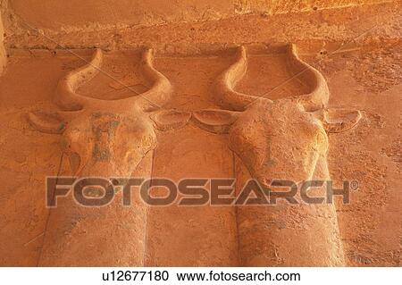 Wall relief of cows, Egypt, High Angle View View Large Photo Image Stock Image - Wall relief of cows, Egypt, High Angle View. Fotosearch