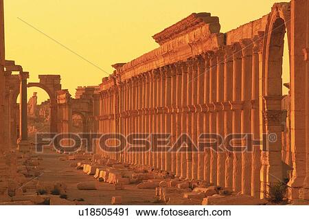 Stock Image - Columns from the site of Palmyra, Syria, High Angle View. Fotosearch