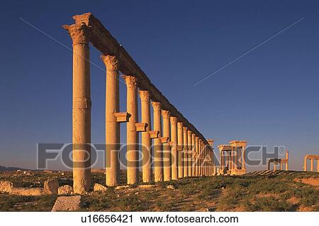 The site of Palmyra, Syria, Low Angle View View Large Photo Image Stock Image - The site of Palmyra, Syria, Low Angle View. Fotosearch