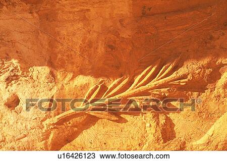 Wall Reliefs from the site of Palmyra, Syria, Close Up View Large Photo Image Stock Image - Wall Reliefs from the site of Palmyra, Syria, Close Up. Fotosearch