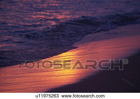 a Beach By Sunset, the Wet Sand Reflecting the Colors of the Sun, Differential Focus, Hawaii, USA View Large Photo Image Stock Image - a Beach By Sunset, the Wet Sand Reflecting the Colors of the Sun, Differential Focus, Hawaii, USA. Fotosearch