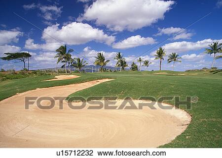 Stock Image -  a Golf Course, Surrounded By Several Palm Trees Under a Blue Sky. Fotosearch