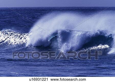 a Huge Ocean Wave, the Water Reflecting the Sunbeams, Side View, Hawaii, USA View Large Photo Image Stock Image - a Huge Ocean Wave, the Water Reflecting the Sunbeams, Side View, Hawaii, USA. Fotosearch