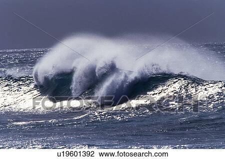 Stock Image -  a Huge Wave in the Ocean, the Water Reflecting the Sunlight, Side View, Hawaii, USA. Fotosearch