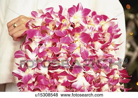 a Person Holding a Lot of Lei, Front View, Hawaii, USA View Large Photo Image Stock Photo - a Person Holding a Lot of Lei, Front View, Hawaii, USA. Fotosearch