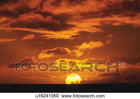 a Sunset, the Sky Red From the Colors of the Sun, Front View, Hawaii, USA View Large Photo Image Stock Image - a Sunset, the Sky Red From the Colors of the Sun, Front View, Hawaii, USA. Fotosearch
