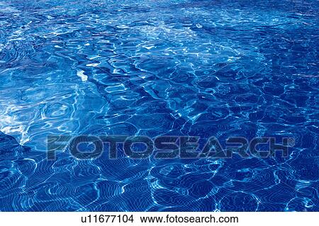 Picture -  a Swimming Pool With Its Transparent and Light Blue Water, High Angle View, Hawaii, USA. Fotosearch